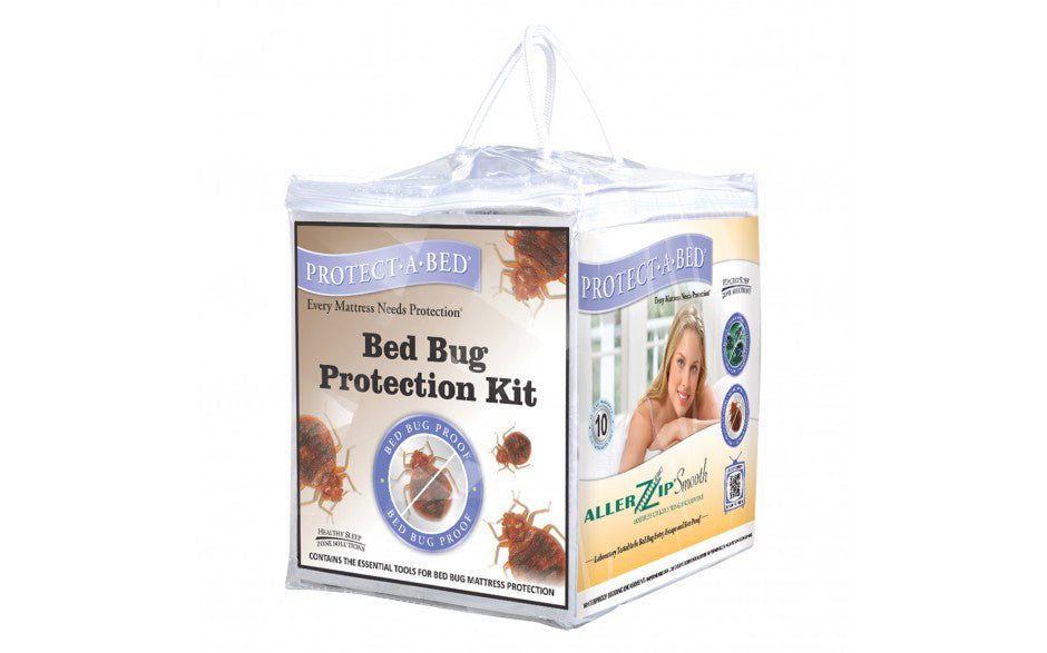 Bed bug protection discount