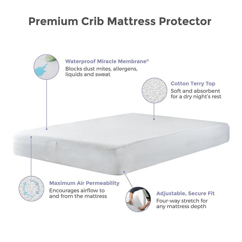 Protect a bed crib mattress protector 2025
